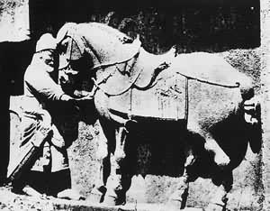 ��������֮һ���¶��