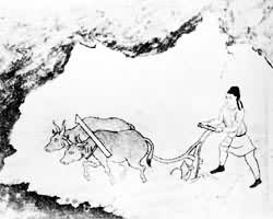 ţ��ͼ��������ԭ����Ĺ����