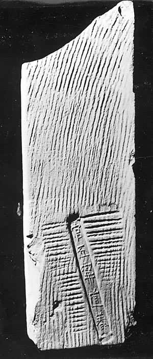 ���ٽ�����������ש��������������