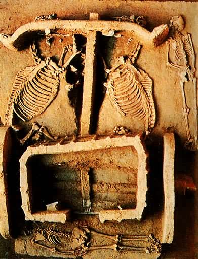 �̴������� ���ϰ�������ׯ