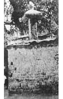 ��ެ���˱�  ��������������ǰ