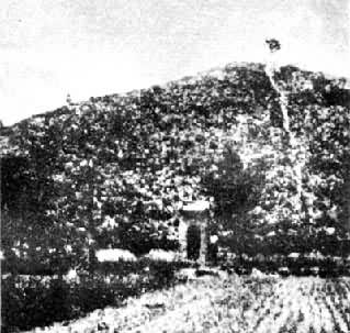 ����Ĺ��������ƽ