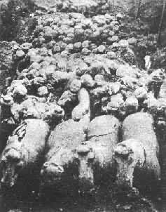 ����Ĺ������ٸ�����ֳ��������н�ʨ��ɽ�����