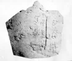 �����ɽ��������׹�