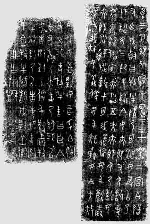 ��F������Ƭ