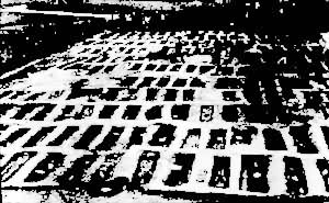 ������ͽĹ�ء�������ʦ�����������Ͻ�