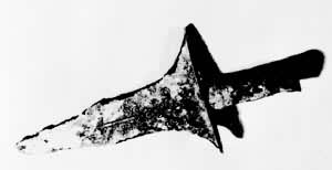 ҹ���˵���ͭì  ��������e��ӳ���