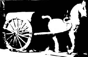 ���������� �Ĵ��ɶ�����ɽ����