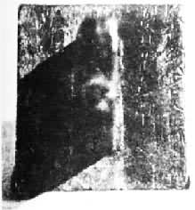 ��³����ͭӡ