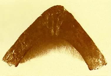 ս��ʱ�ڵ�����ͷ ���ϻ��س���