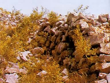 �������ر�ǽ��ս��ʱ���Թ��ϳ�����ַ