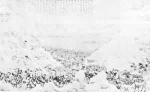 �������Ÿ��սͼ��