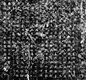 �ž���Ĺ־��Ƭ���㶫�عس���