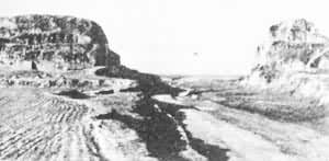 ������֣��֣���ʳǳ�ǽ�ż�