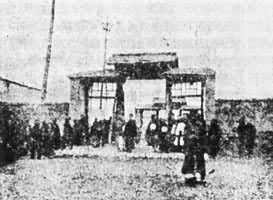 פ�ش�����