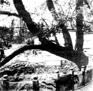 ���ϴ�������Ȫ