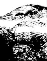 �����С�ͼ�������Ӧ������