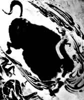 �����������������繫ɣ֮����ͼ