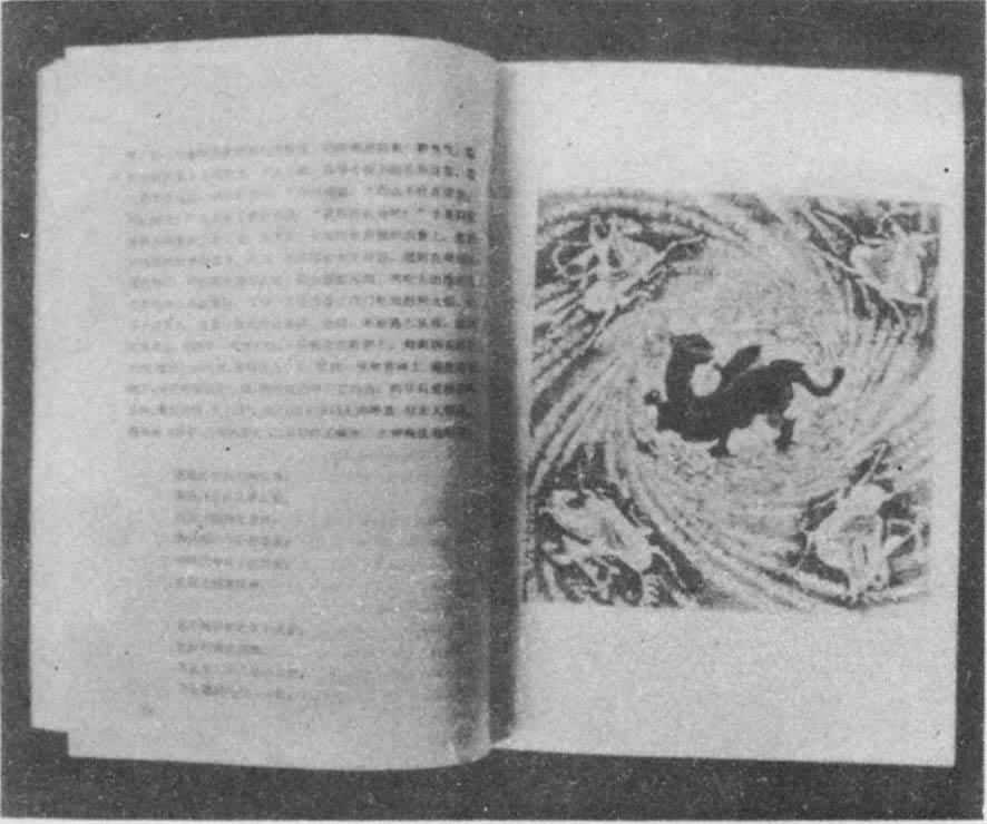 ����������������Ӱ