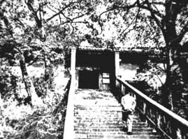 �㶫���ݺ��Ĺ���