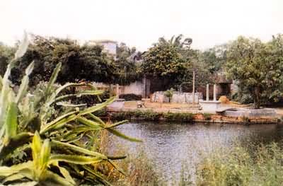  �㶫�Ϻ����մ念��Ϊ����