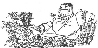 ���ử�� Ҷǳ����