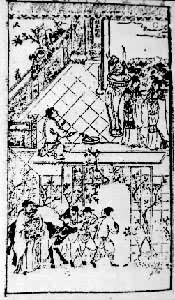 ��԰���塡ѡ�����������̱���Ӣ���ס�