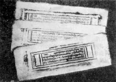 �����ȸ��ԡ�85ҳ�汾