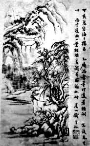 ����ֲ�Ļ�