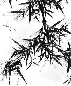 ī���ᣨ�ֲ�������ͬ��