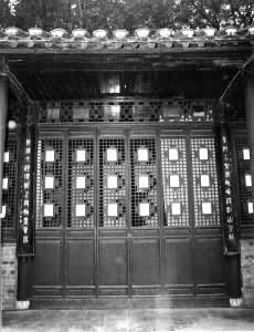 ��Ϊ��������������ͳ�ࡶ��ѡ����