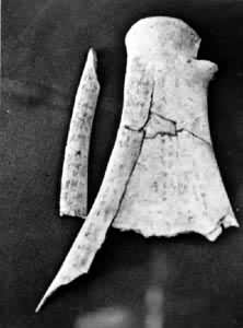 ����׹���