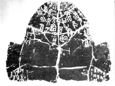 ����׹���