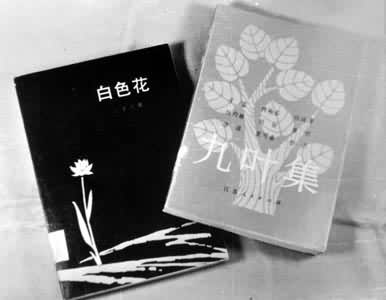 ����ɫ�����͡���Ҷ����