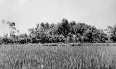 �Ĵ�ۯ������Ĺ