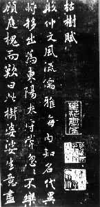 �ƴ�����������š���������