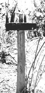 ͼ ɫ��(կ��)