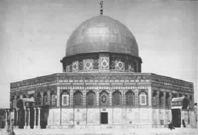 ͼ ������������