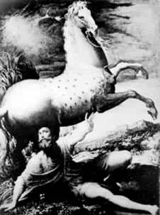 ͼ ���޼���  ���͵�