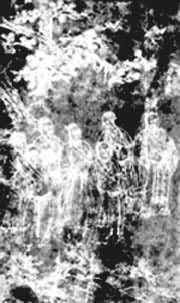 ͼ ��������(����������)