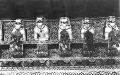 ͼ ���ڵ���