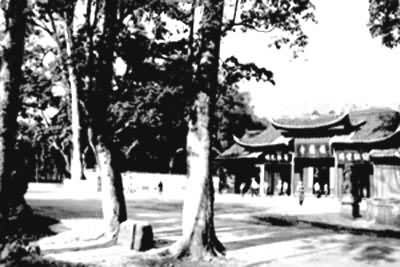 ��üɽ������