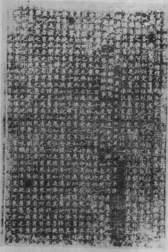 ����վ���