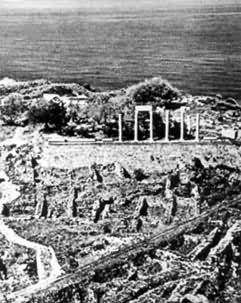 ���������ַ