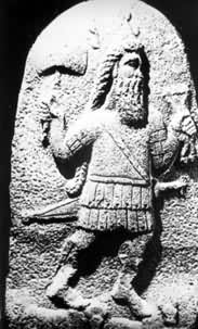 �����񸡵�