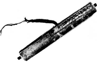 1982��ɽ��Ӧ��ľ���з��ֵ��ɴ������Ͼ�����