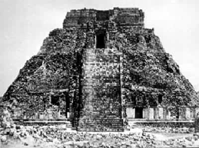 ���Ž�����