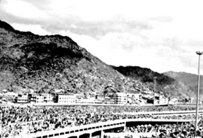 ����ɽ�ȵĳ�����Ⱥ