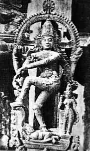 ͼ ʪ���赸����