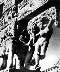 ����ҩ��Ů��